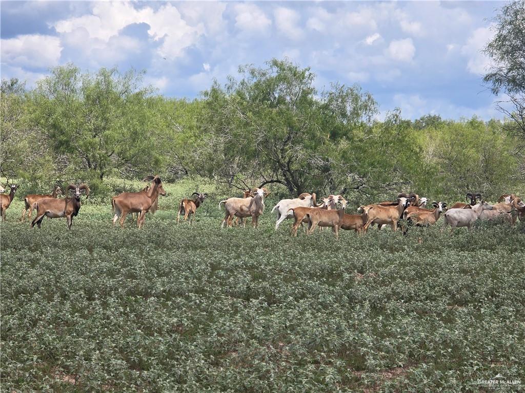 Photo 17 of 600 CR 305 Road
