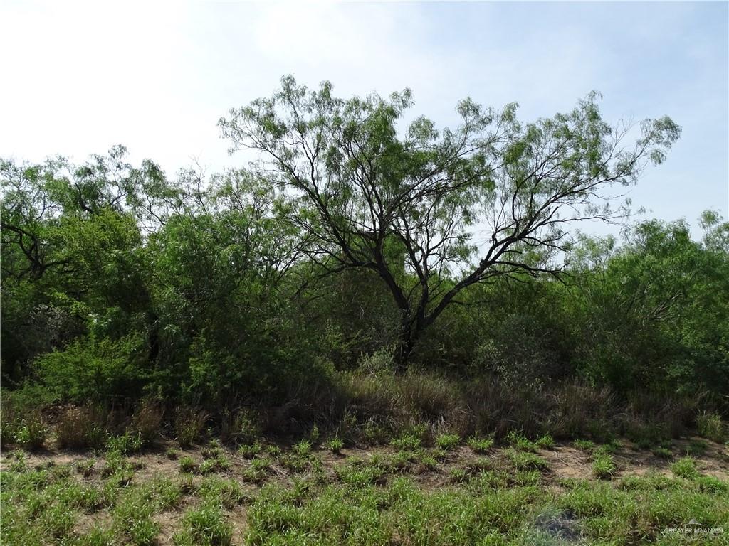 Photo 11 of 0 FM 2294 Highway