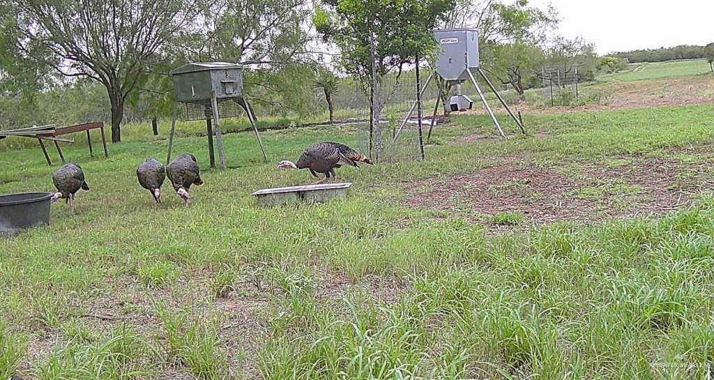 Photo 16 of 0 FM 2294 Highway