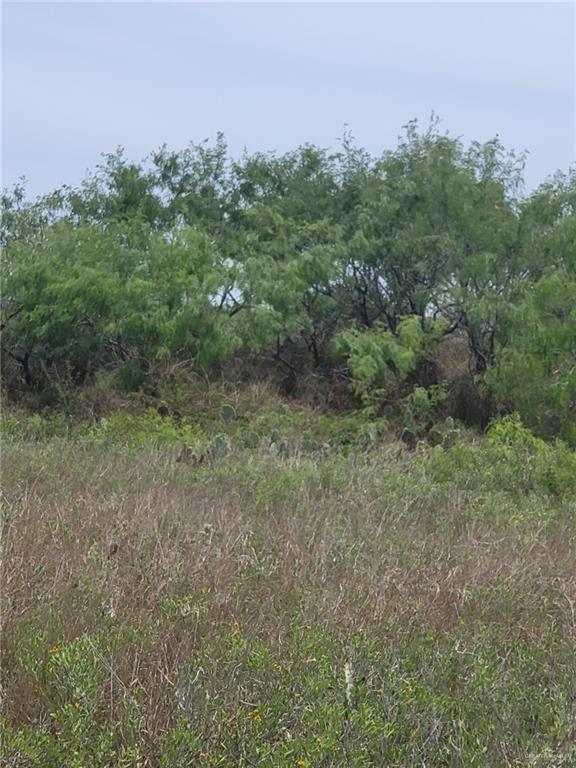 Photo 19 of Tract 1 Fernando East Road