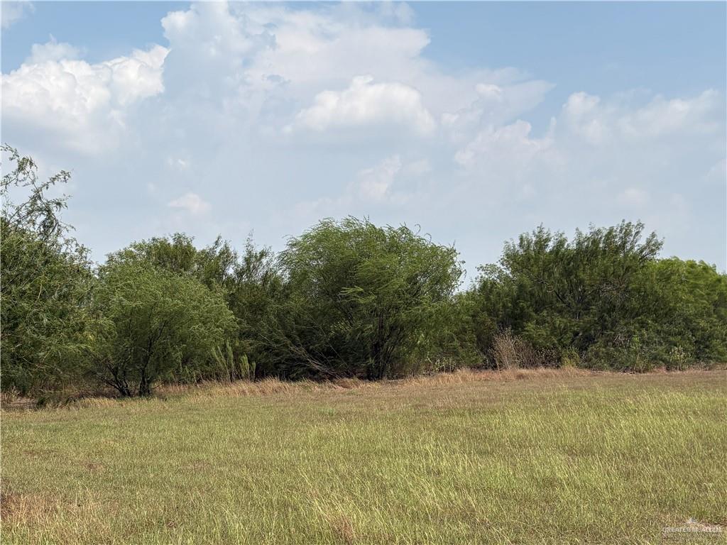 Photo 2 of 000 Forto Land Road