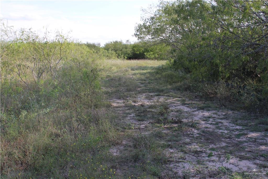 Photo 15 of 654 654 CR 3081 Road