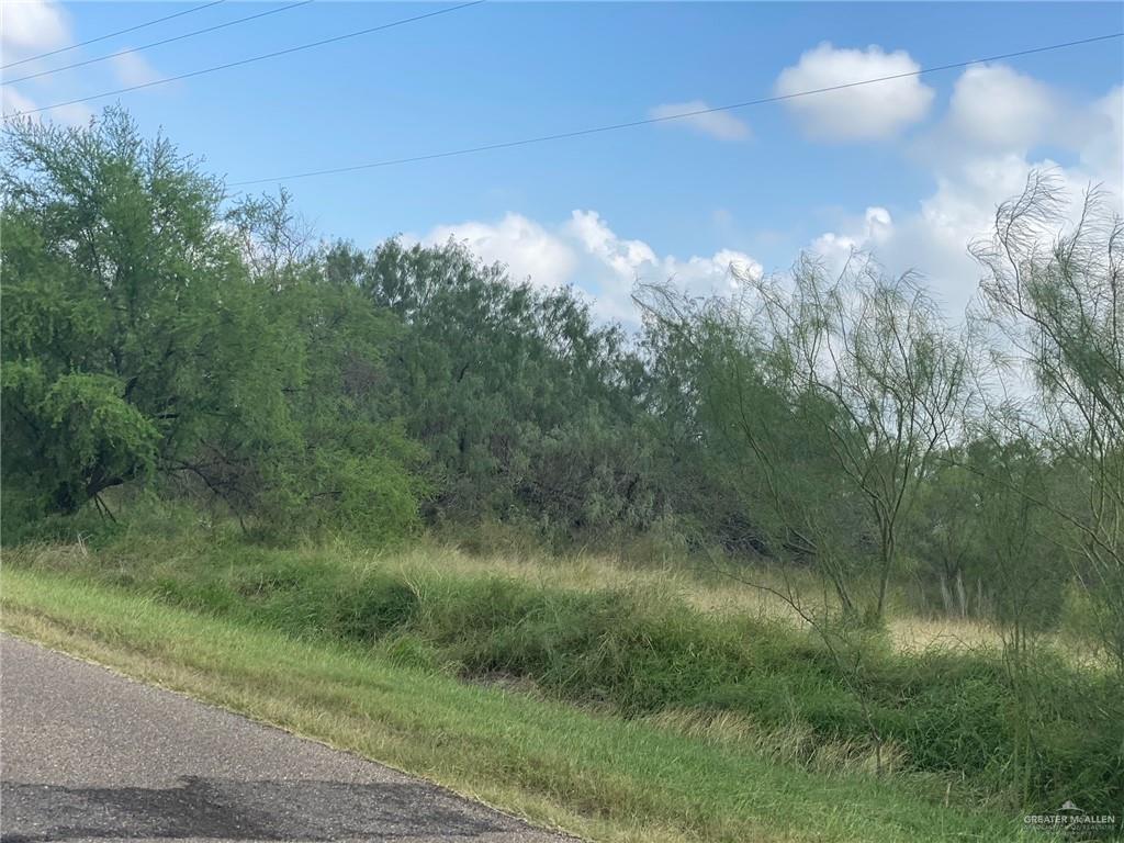 Photo 4 of 00 Bentsen Palm Drive