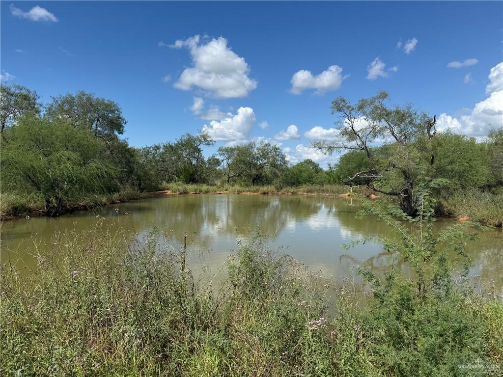 Photo 12 of 115 Rancho Viejo Road