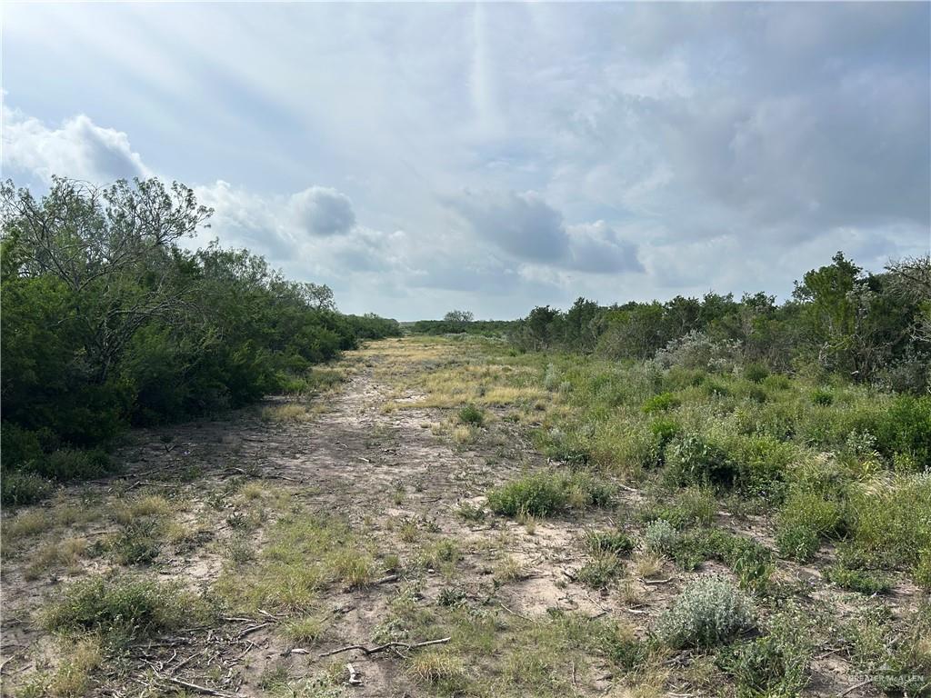 Photo 11 of 000 County Road 173