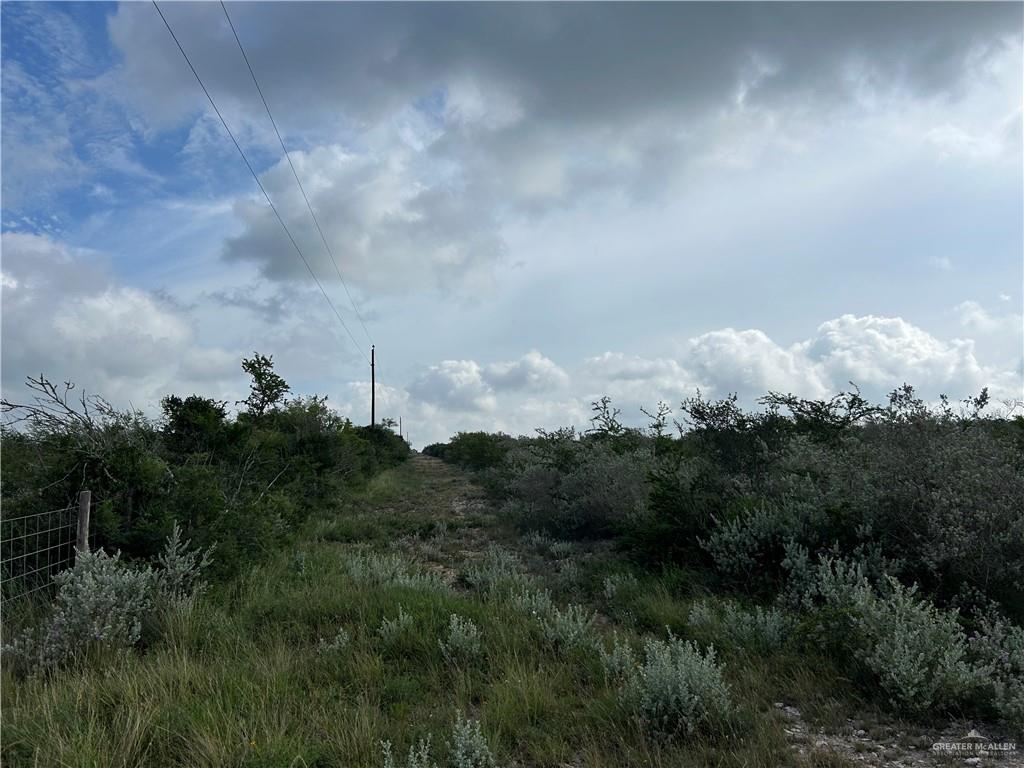 Photo 13 of 000 County Road 173